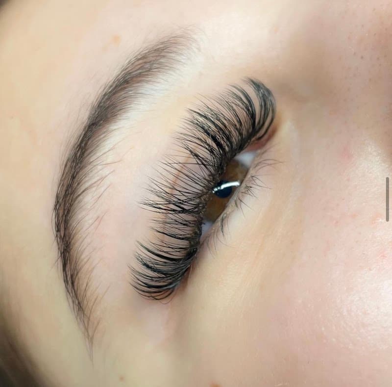 House of Lashes Seattle photo