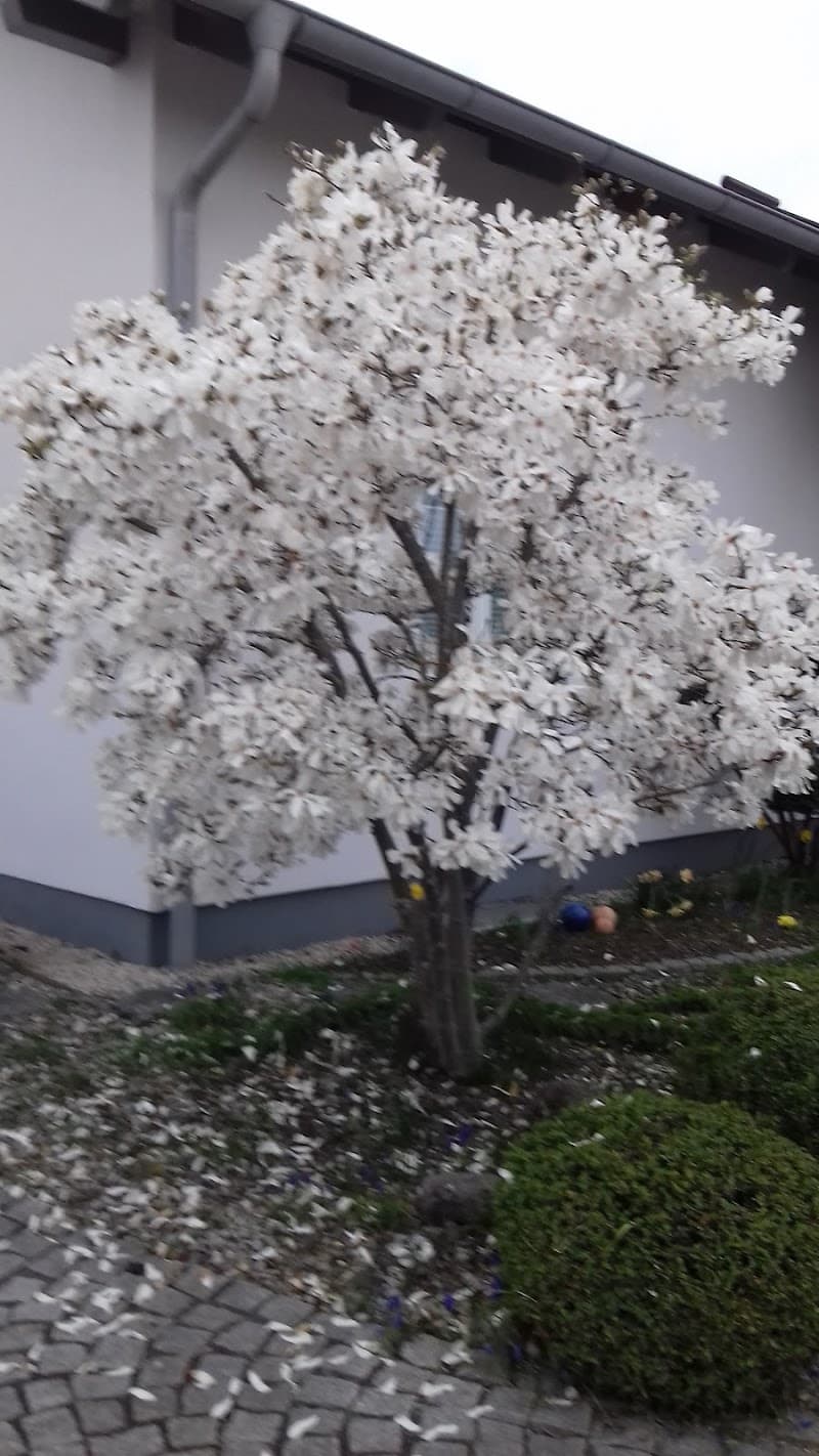 HRS Human Resources Solutions GmbH Aichach photo