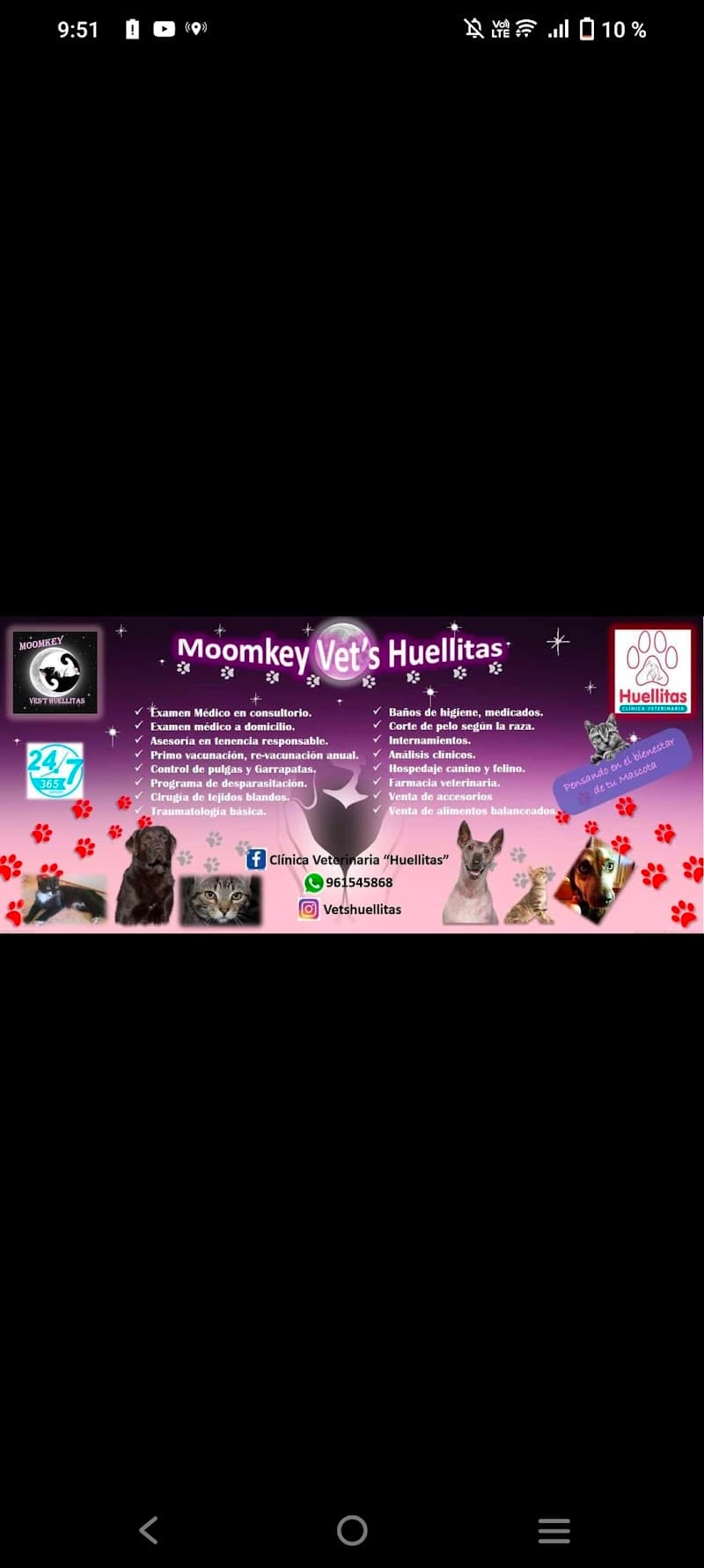 Huellitas spa canino Sullana photo