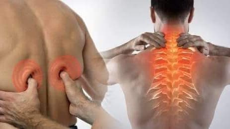 Huesero Vive Sin Dolor Cancún photo