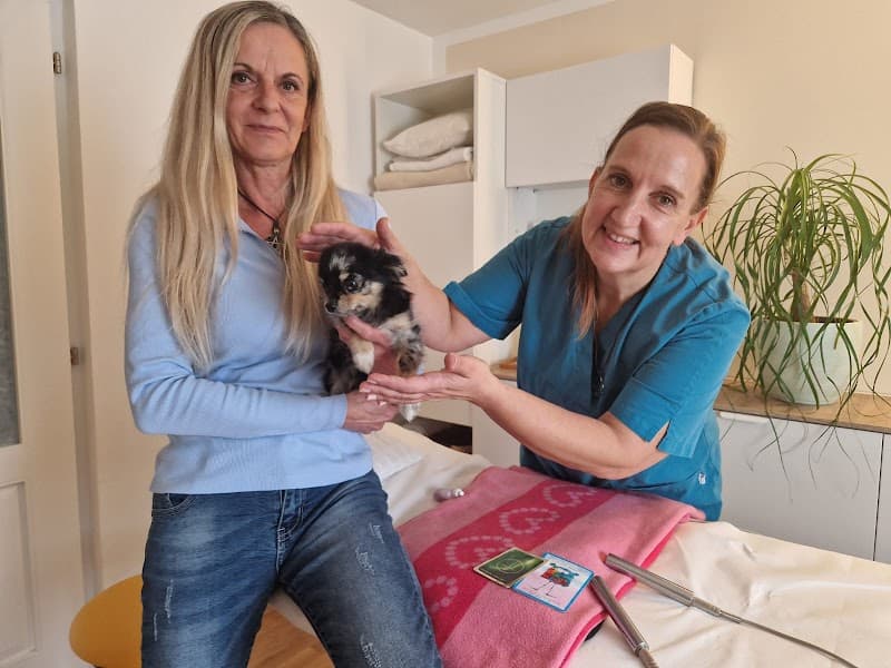 Human- und Tierenergetik Christina Satzinger Lasberg photo