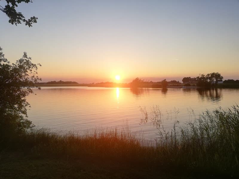 Hundahls Massage Kjellerup photo