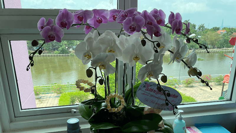 Husan Clinic Bac Sy Huyen Quận Hải An photo