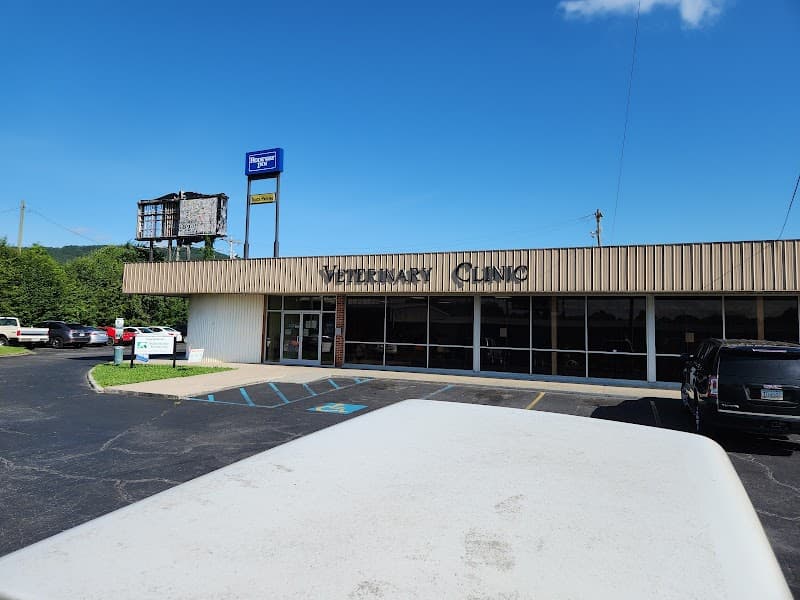 I have paws Saint Petersburg photo