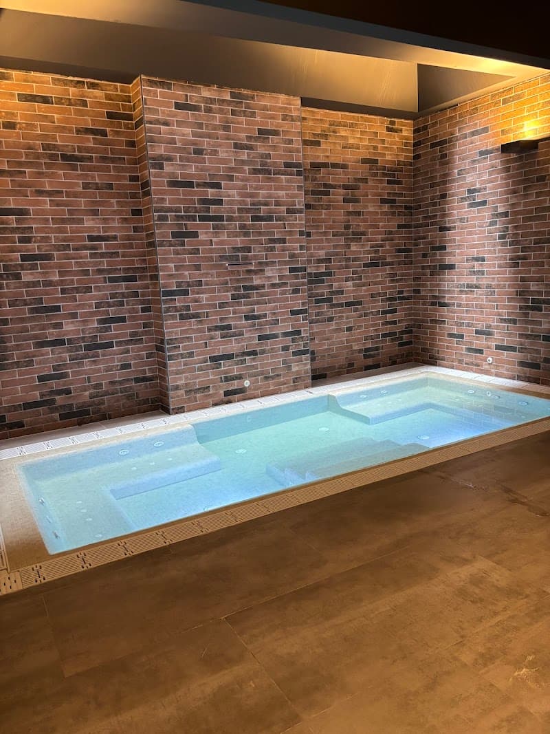 Ibiza Posidonia Spa & Wellness Center Bilbao photo