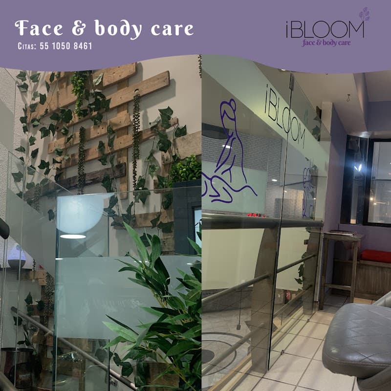 Álvaro Obregón iBloom Spa photo