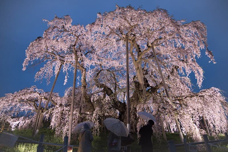 Ibuki Miharu Town, Tamura District photo
