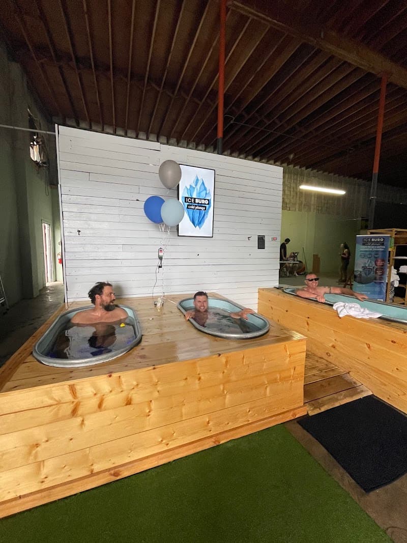 IceBurg Cold Plunge St Petersburg photo