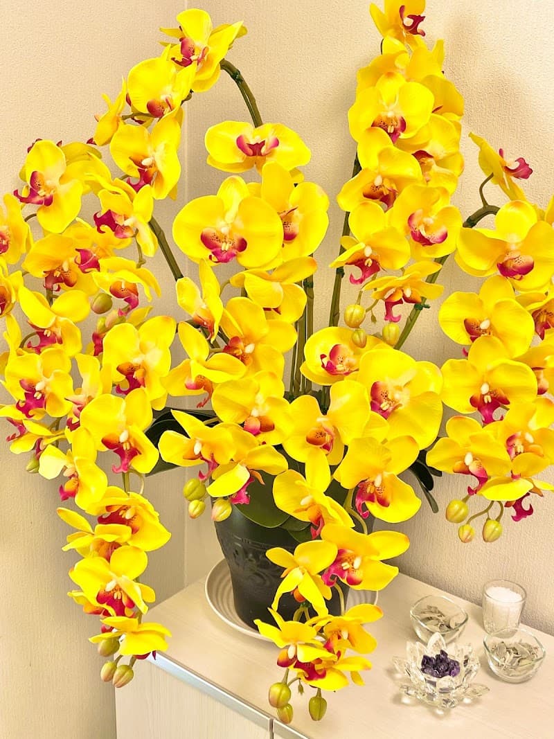 Ichirizuka Shinkyu Massage Hamamatsu City Hamana Ward photo