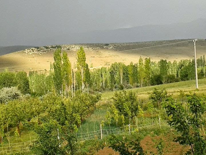 Içmeli Niğde photo
