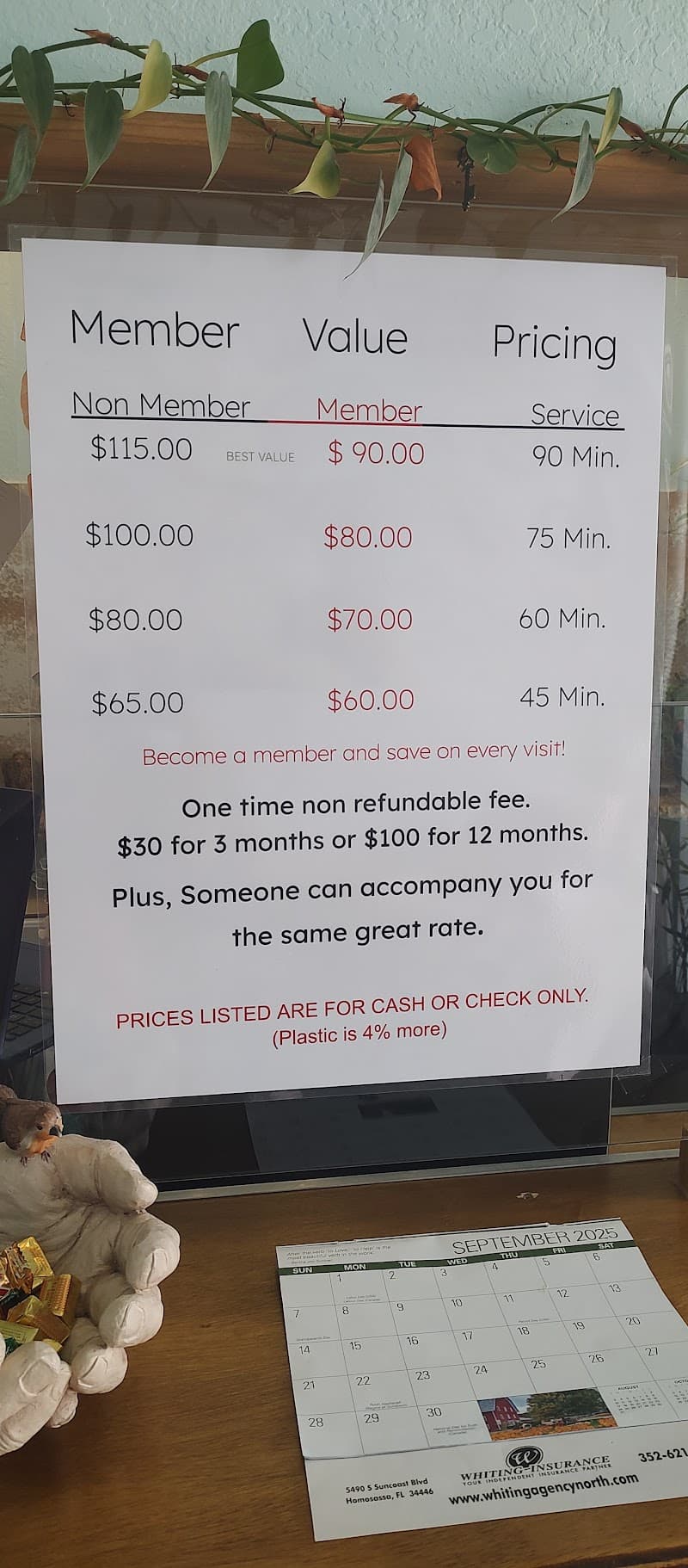 Ideal Health Massage Therapy Homosassa photo