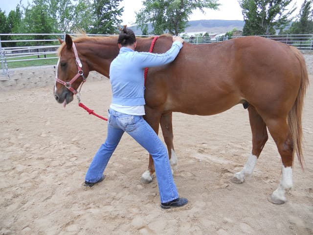 Ijekah Feng Shui & Bodywork Reno photo