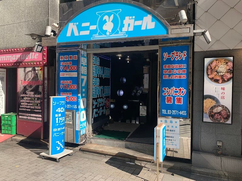 Ikebukuro Bunny Girl Toshima City photo