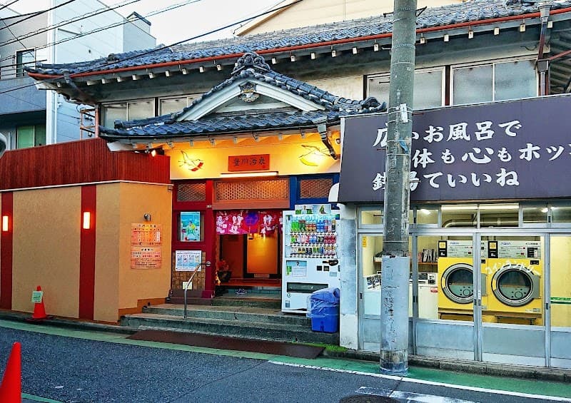 Ikiiki Onsen Sanagawa Yu Toyokawa photo