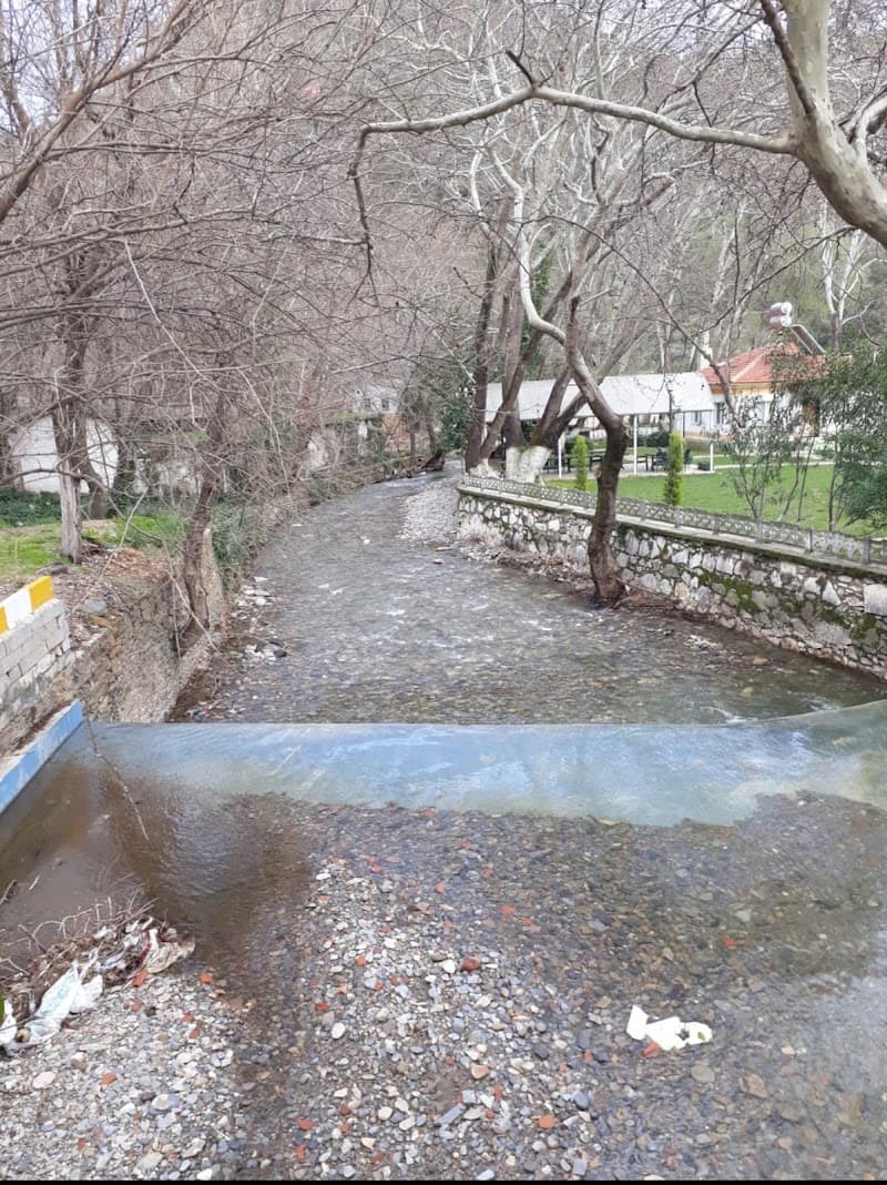 Ilıca Bayındır photo