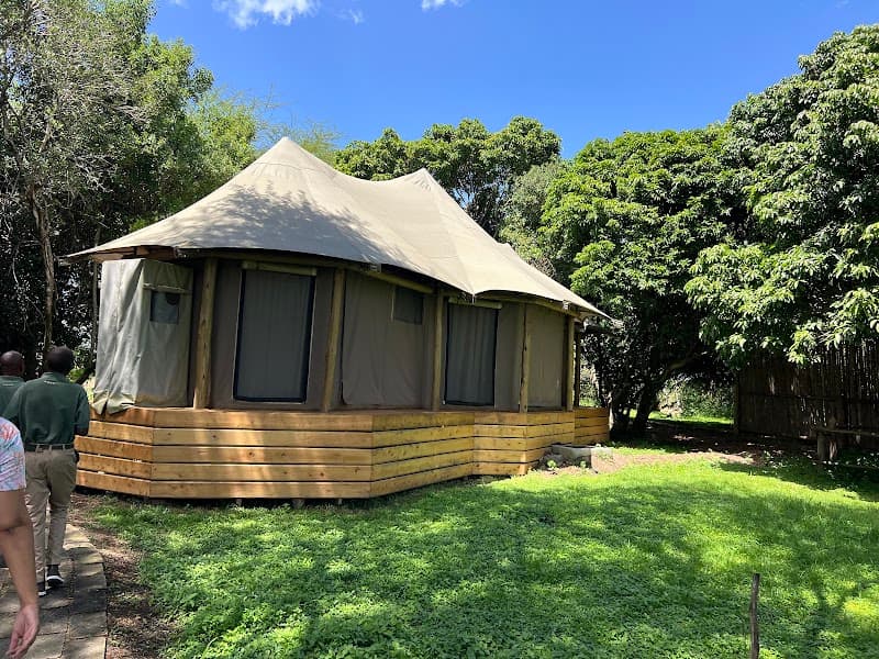 Ilkeliani Camp Masai Mara photo