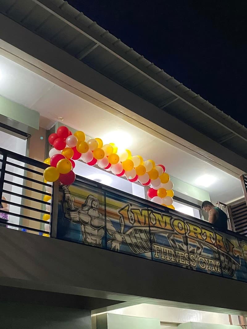 Immortal GYM & Wellness Hub Cauayan photo