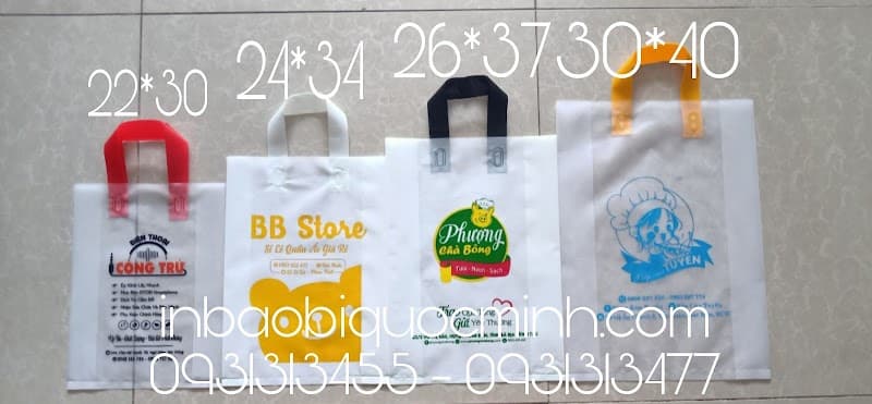 In Bao Bì Túi Nilong Giá Rẻ Quận 1 photo