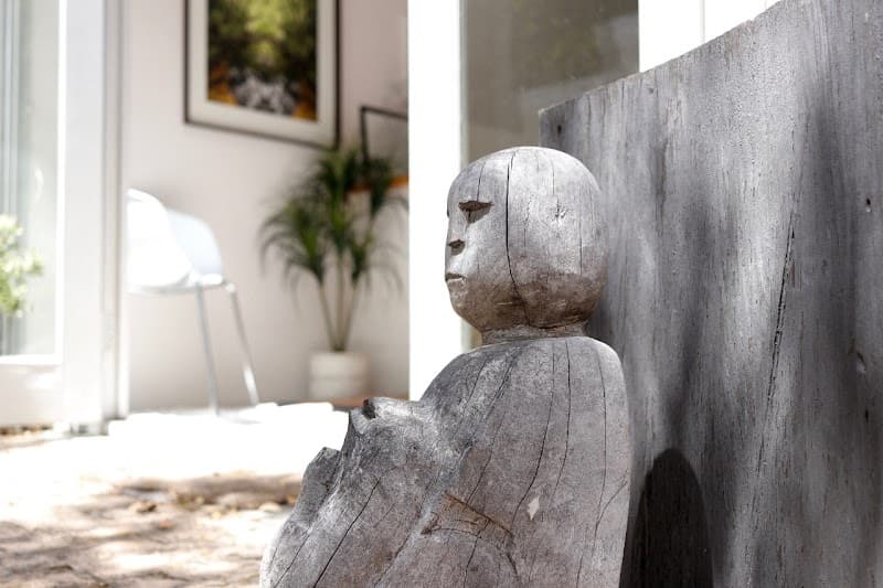 Indalo Wellness Studio Cape Town photo