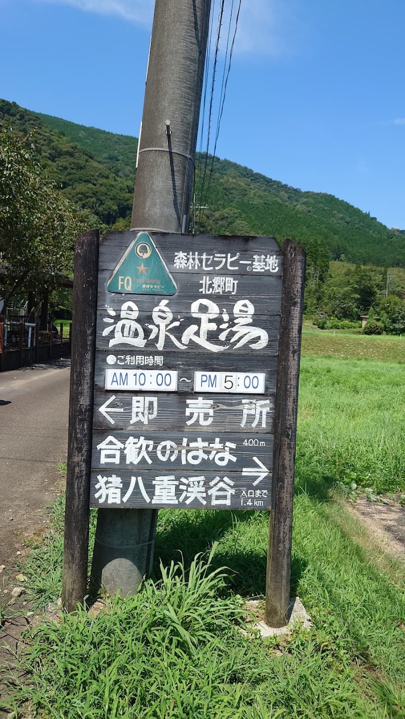 Inohae Onsen Ashiyu Nichinan City photo