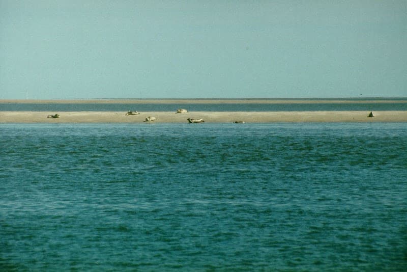 Insel Pellworm - Lebenskunst im Atelier Poseidon photo