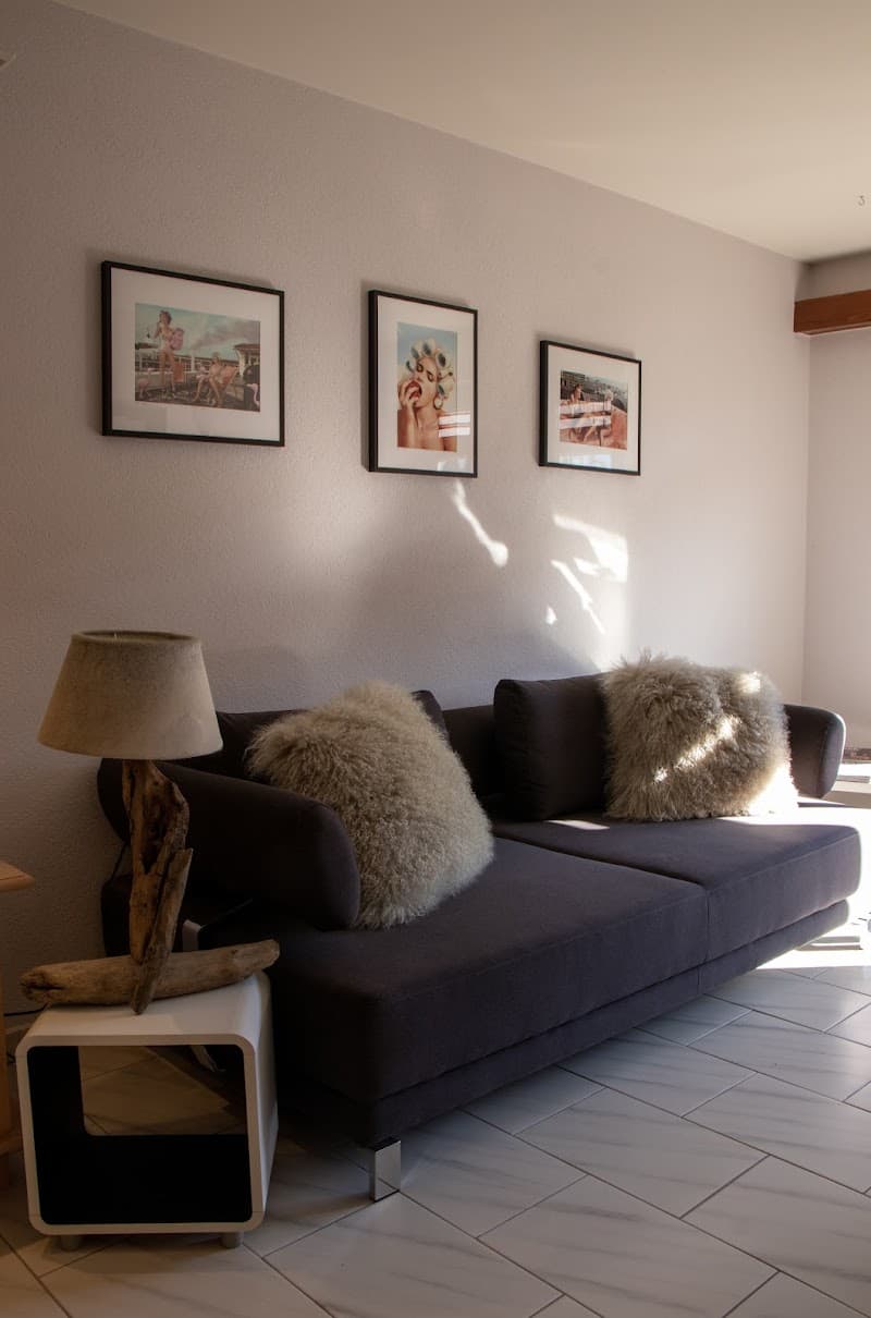 Institut Laguna Crans-Montana photo