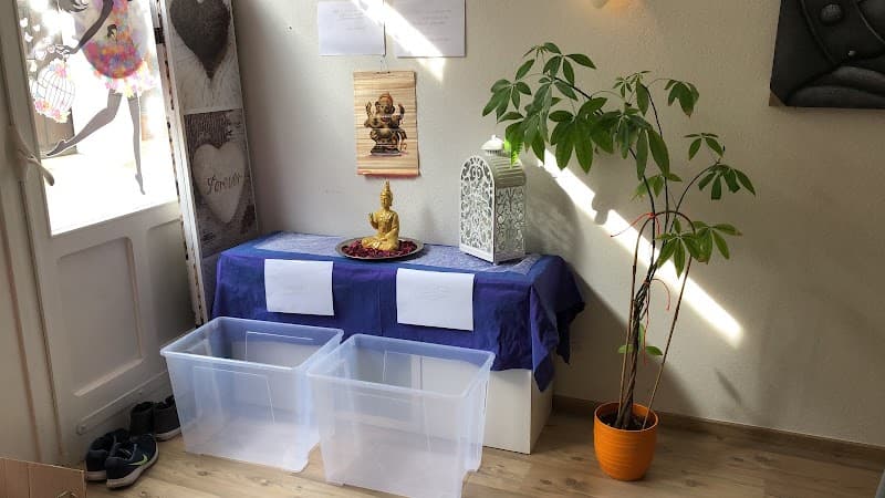 Institut Shaya Rolle photo