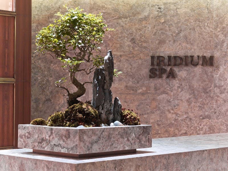 Iridium Spa Istanbul photo