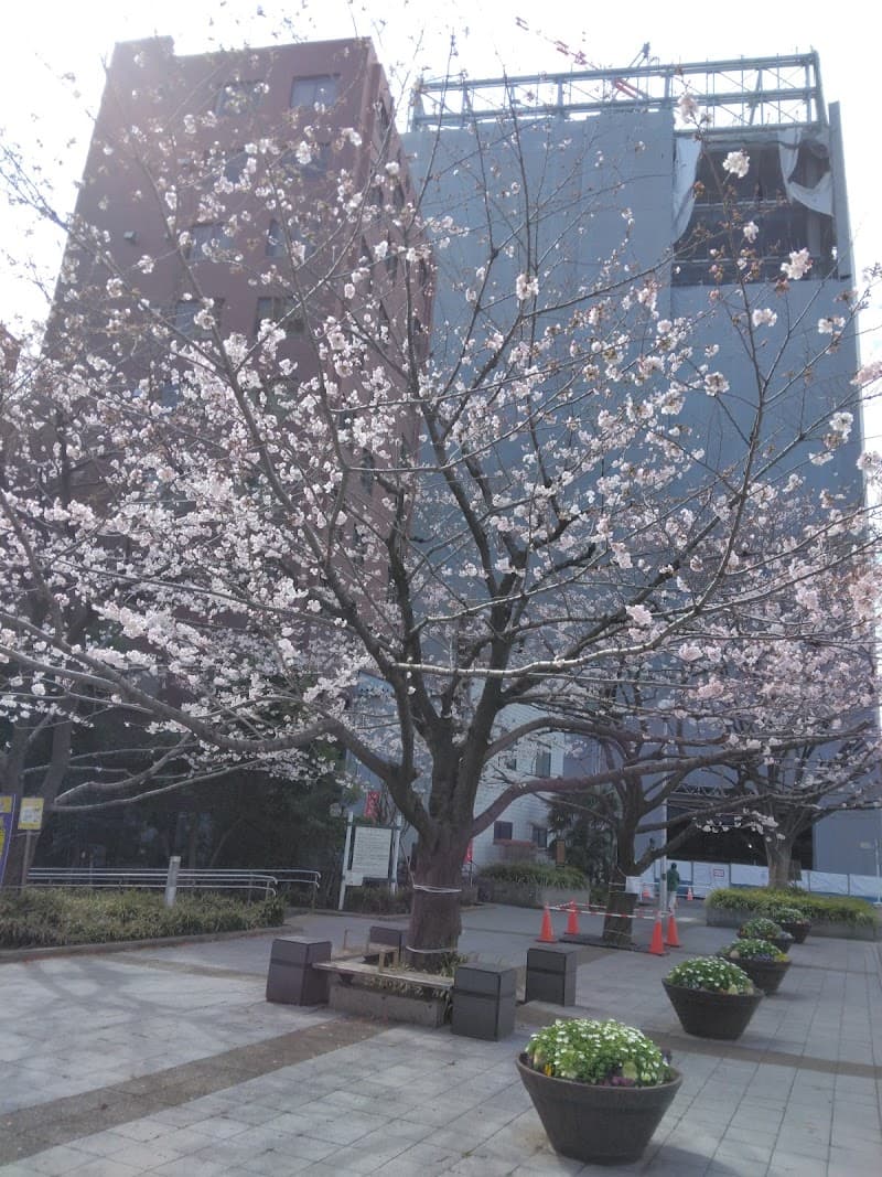 Irifuneyu Chuo City photo