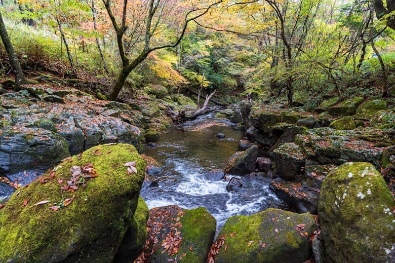 Iro Momiji Aso District Minamioguni Town photo