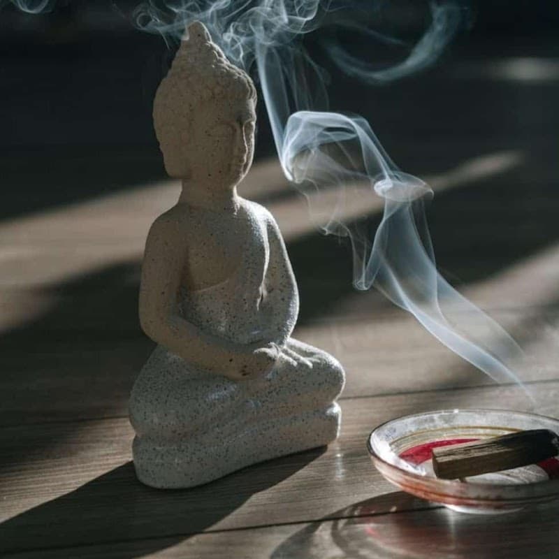 Ishaspa madikeri (Ayurvedic & wellness Spa coorg) Coorg photo