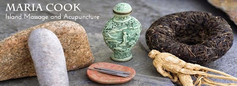 Island Dojo Massage Bainbridge Island photo