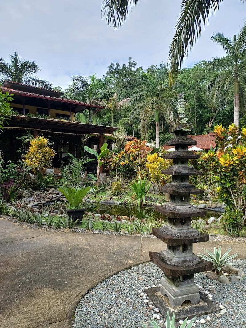 Island Plantation Hotel, Bar & Restaurant Bocas del Toro photo