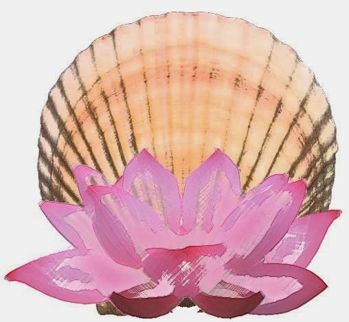 Islander Massage and Skincare Tampa photo