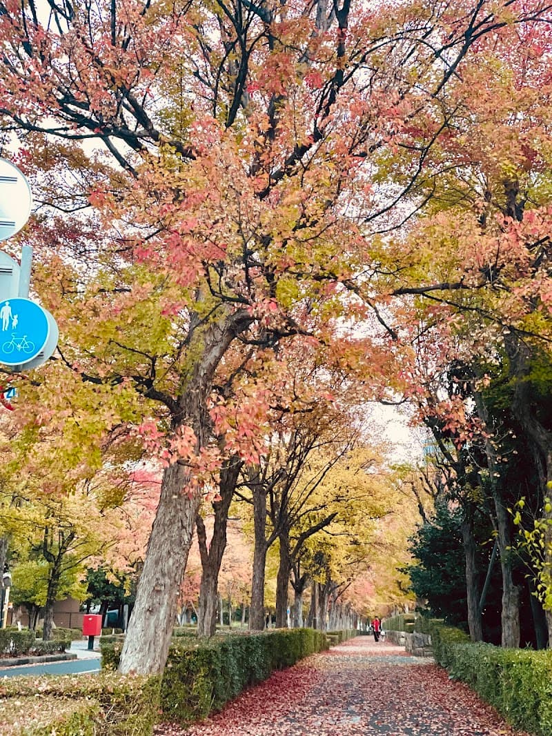 ISOLA Kobe City Higashinada Ward photo