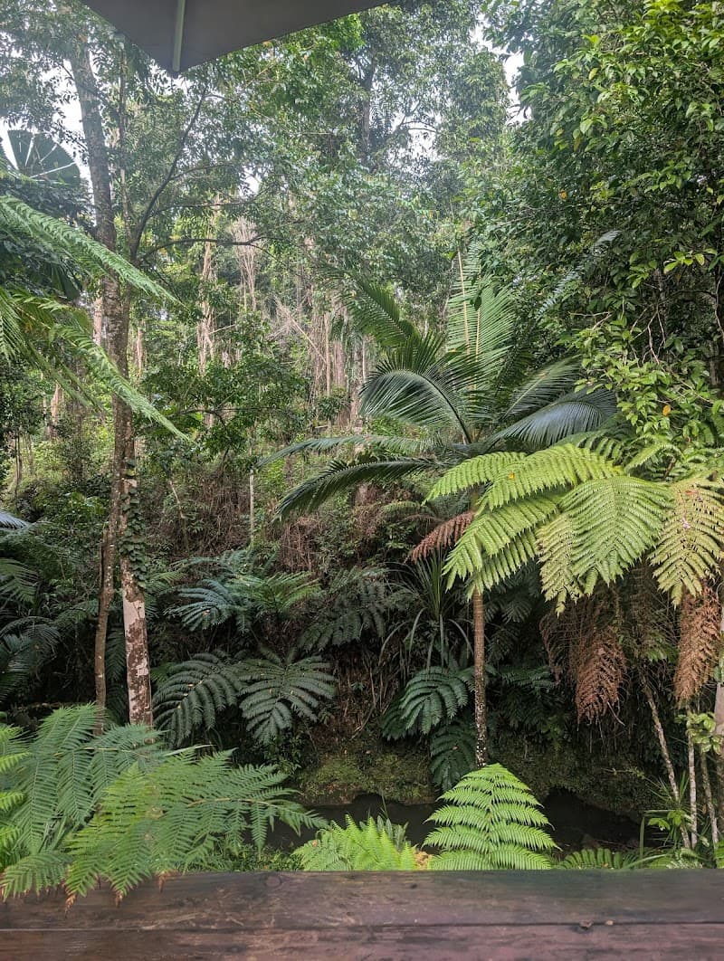 Issani Daintree Day Spa and Ayurveda Cow Bay photo