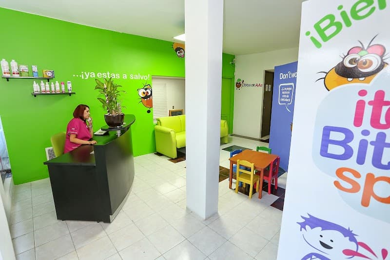 ItchyBitsi SPA - Chilpancingo - NO piojos Chilpancingo de los Bravo photo