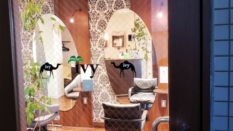 Ivy Minoh City photo