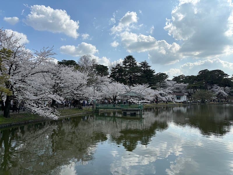 Iyashi-dokoro Yuzan Saitama City Omiya Ward photo