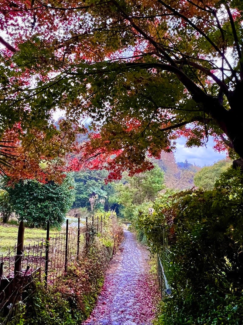 Iyashi no Te Sakurai City photo