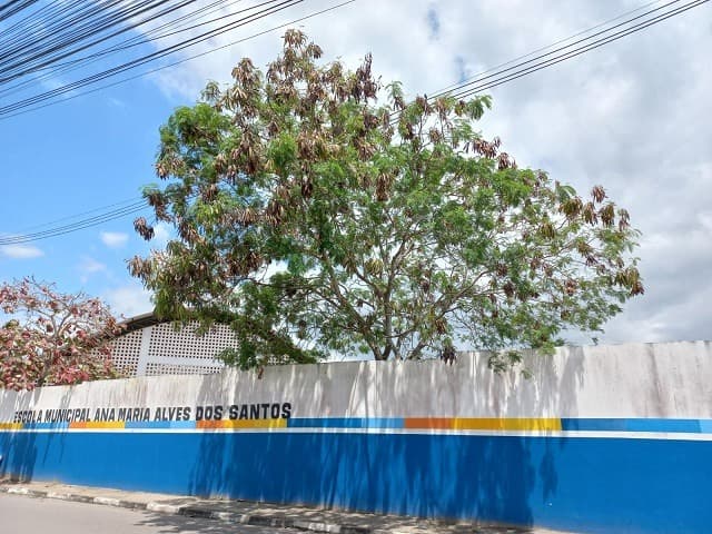 Jandi Maria Alves dos Santos Vitória photo