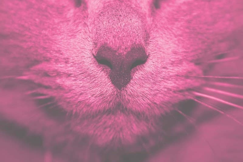 Jane Cowan Facials and Waxing Portland photo