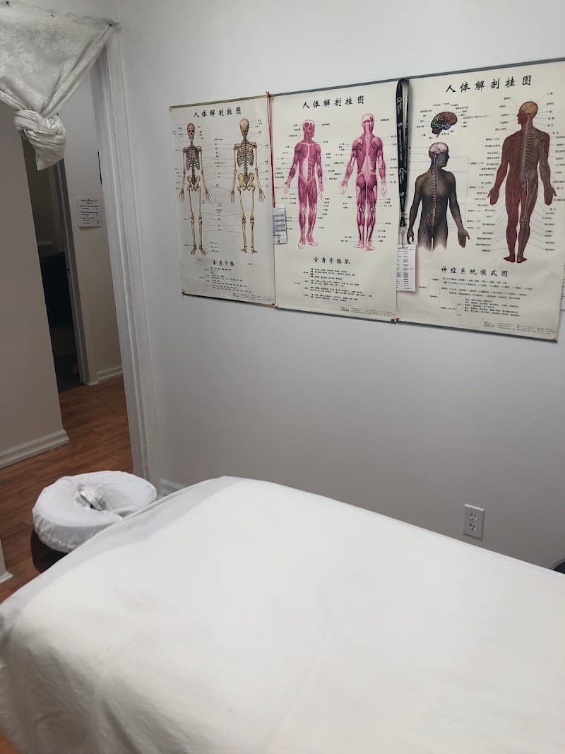 Janique Belle-Isle :: Massothérapeute Longueuil photo