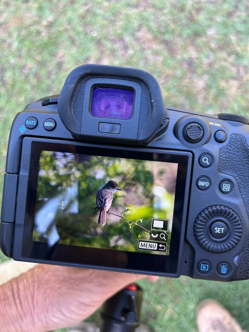 Jardimdosbeijafloresfoz Foz do Iguaçu photo