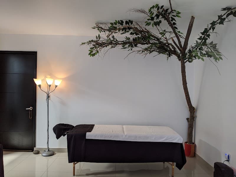 Jardín Zen Spa Uruapan photo