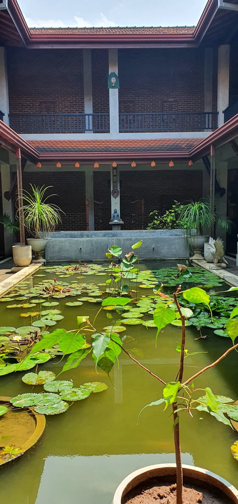 Jasmin Villa Ayurveda Resort Spa Negombo photo