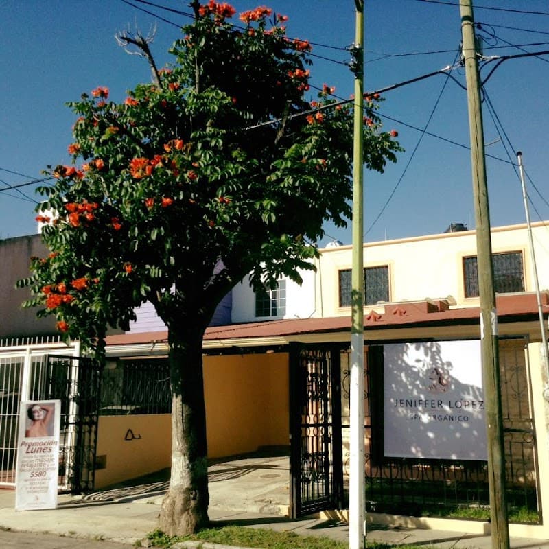Jeniffer López Spa Orgánico Zapopan photo