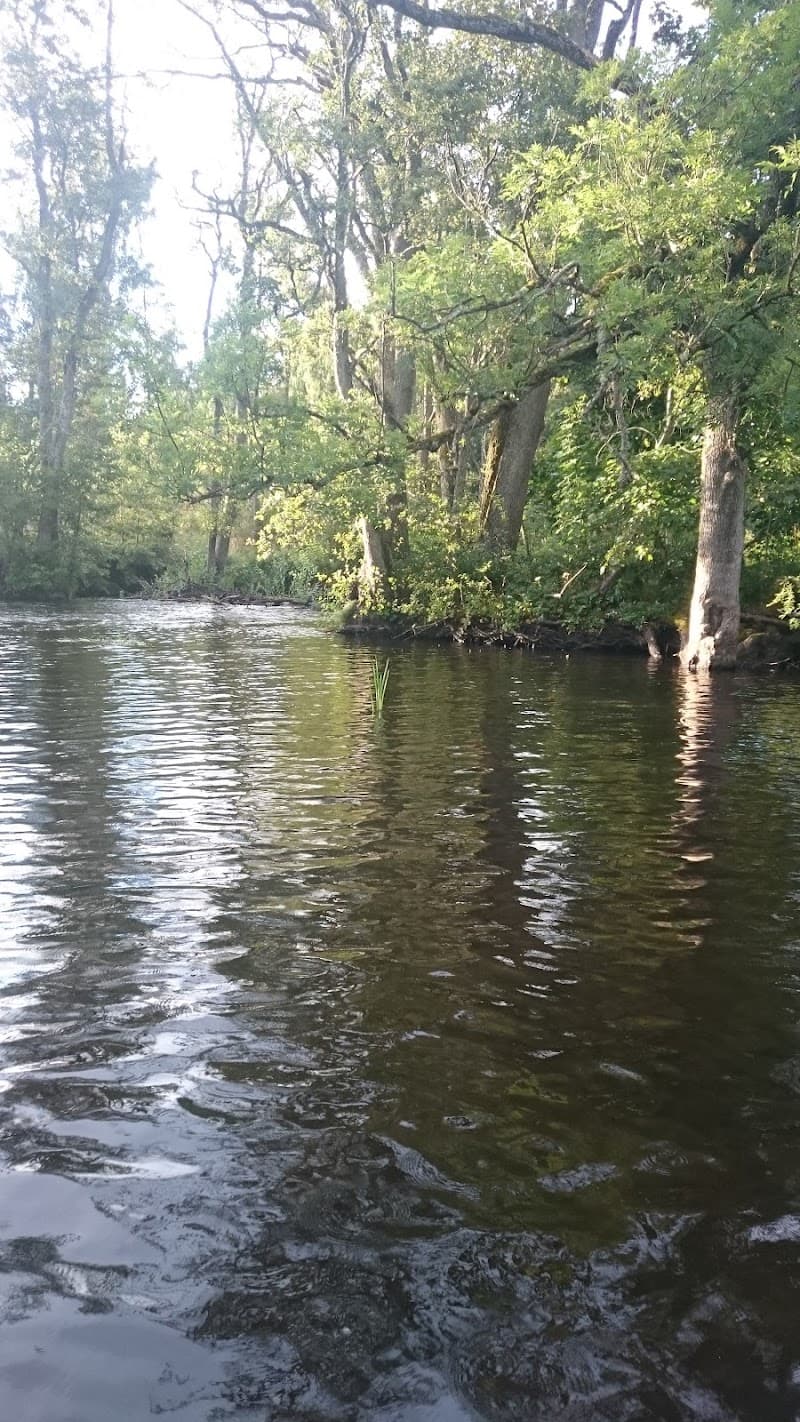 Jennifer's Hud & Skönhet Tidaholm photo