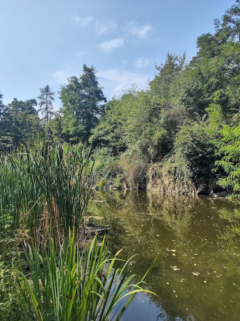 Jezírko park Skalka Praha photo