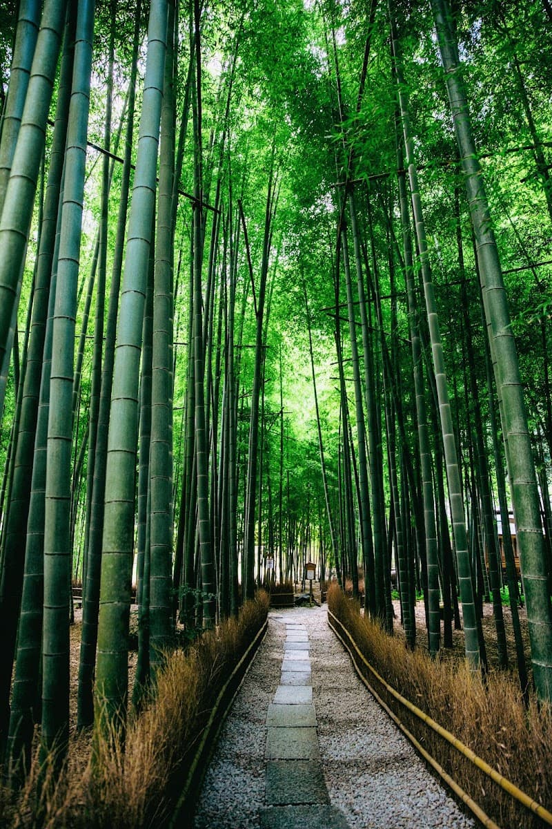 Joraku-yu Kamakura City photo